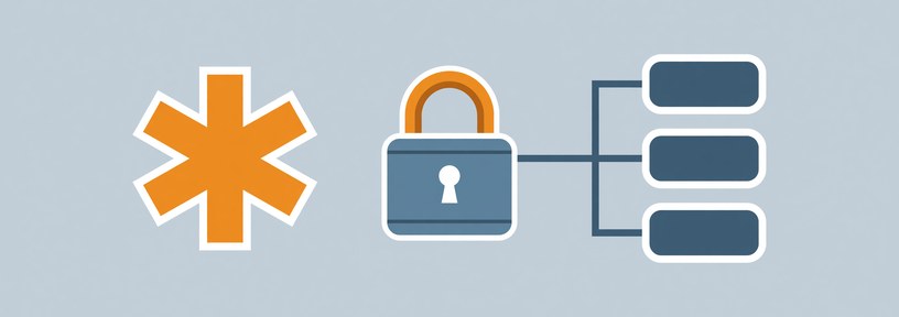 RapidSSL Wildcard